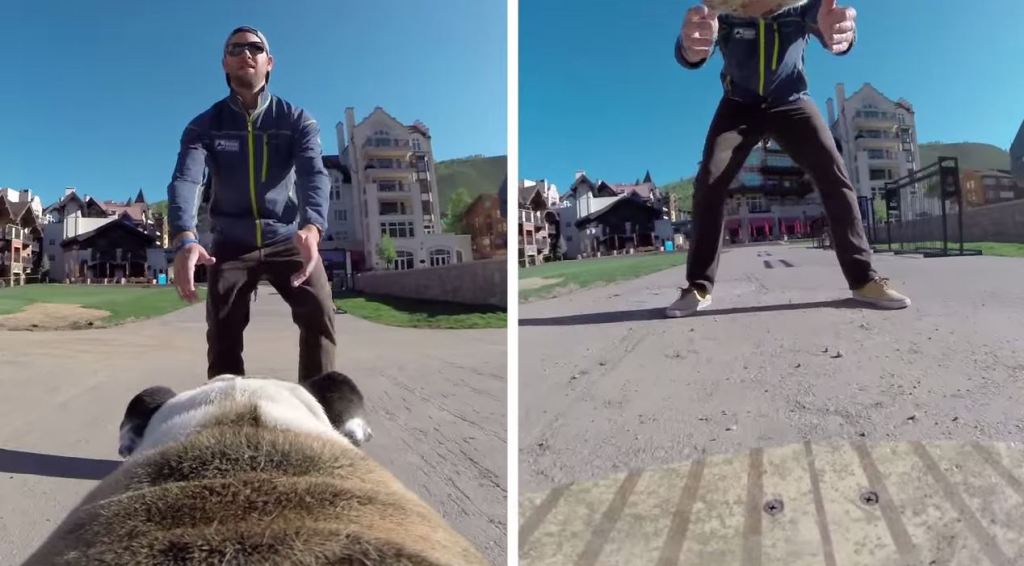 goPro Fetch Hundegeschirr Perspektiven